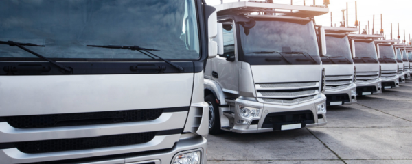 autocarri-iveco